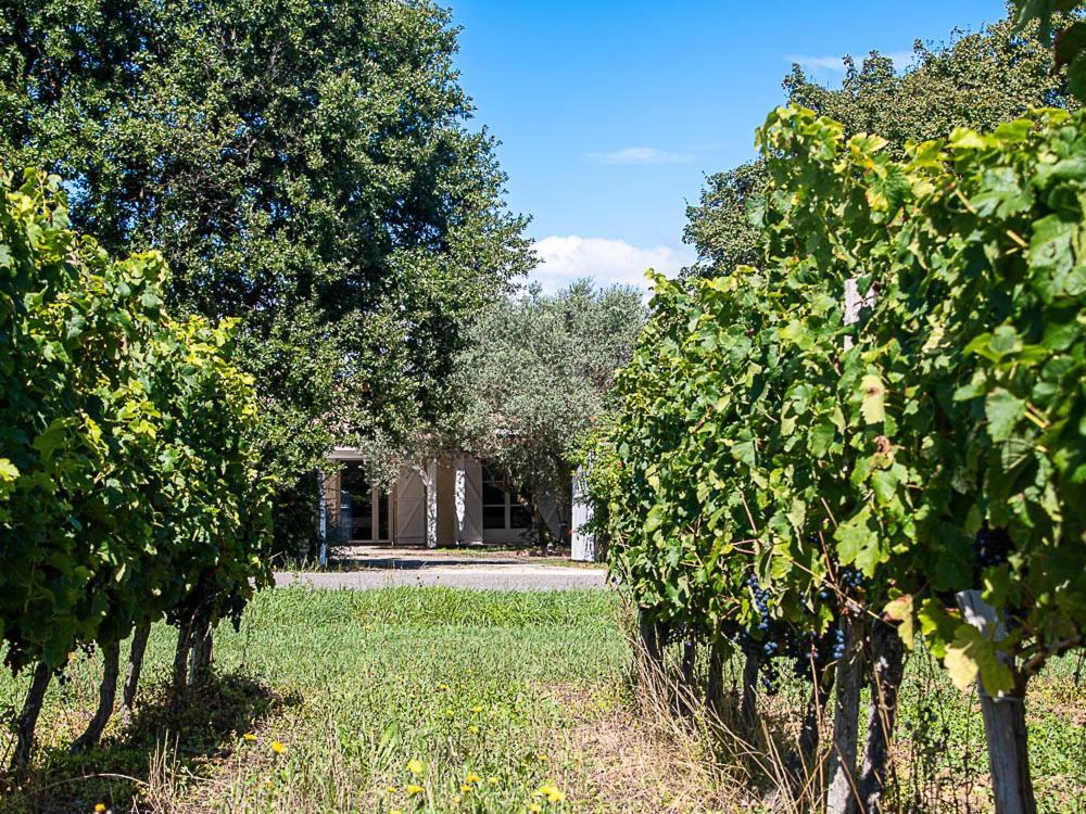 Au Detour Des Vignes Bed and Breakfast Ordonnac Eksteriør billede